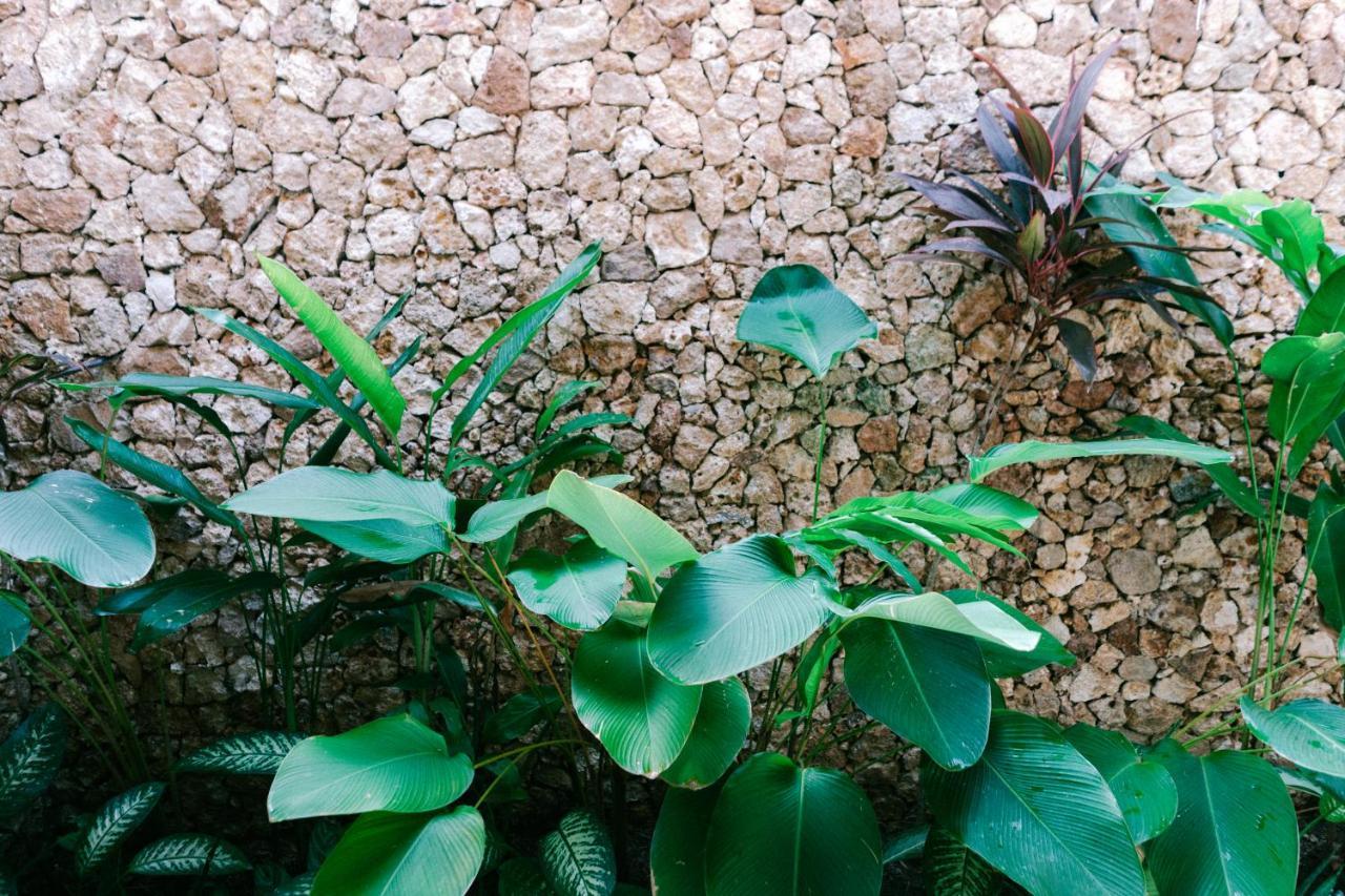 Mana Eco Retreat Hotel Kuta  Luaran gambar